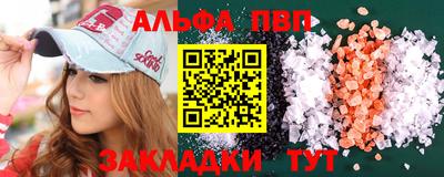 кокс Кингисепп