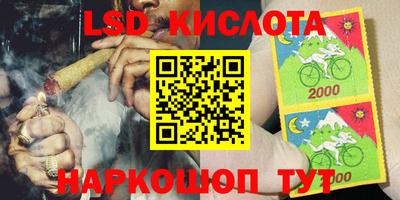 кокс Кингисепп