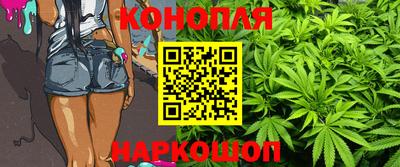 кокс Кингисепп