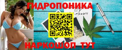 кокс Кингисепп