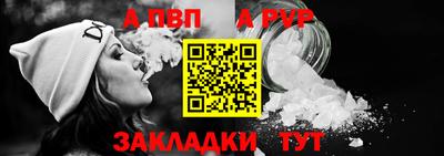 кокс Кингисепп