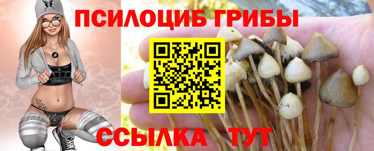 Галлюциногенные грибы мухоморы  Вход с VPN  Черкесск 